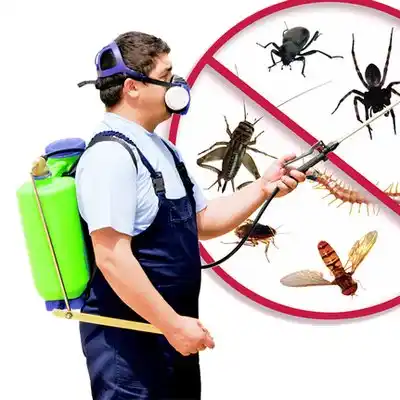 pest control Rutherford College